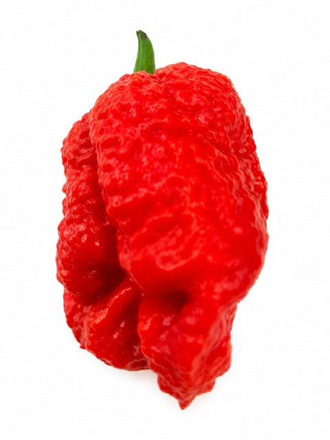 Carolina Reaper fresca de Mallorca – 100 g 🌶️🔥
