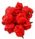 Fresh Carolina Reaper from Malloca, straight from our farm