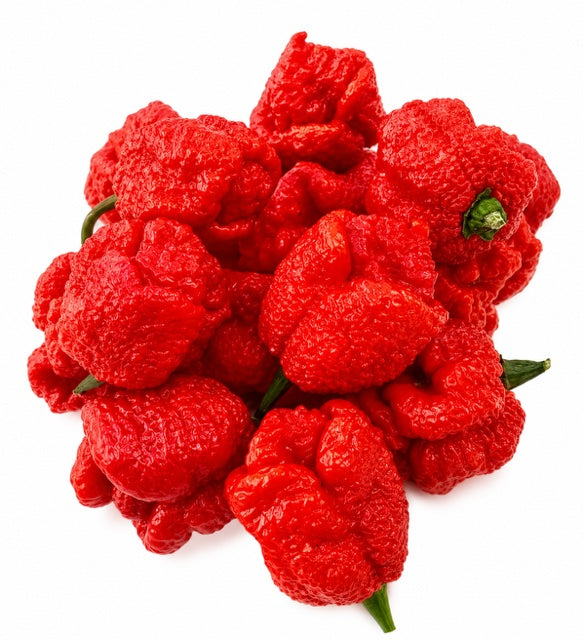 Fresh Carolina Reaper from Malloca, straight from our farm